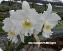 Rlc. Varaporn Delight